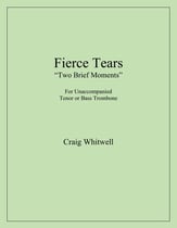 Fierce Tears P.O.D cover